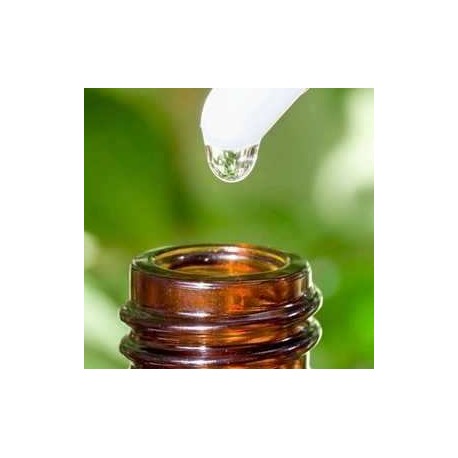 aceite esencial de romero
