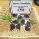 Drusa amatista calidad morada violeta comprar precio